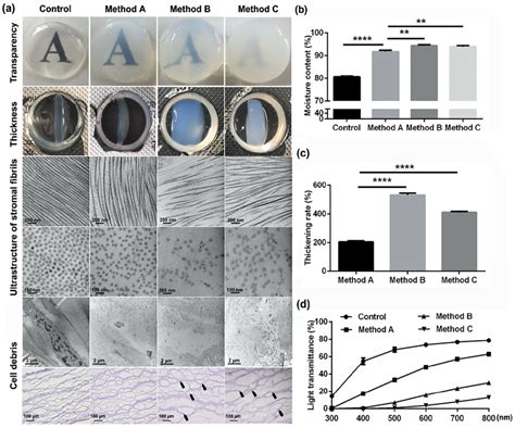 Corneal Characteristics After Decellularization A General Images Of