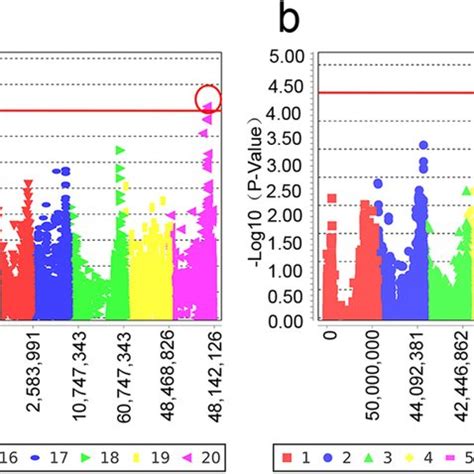 Distribution Of The 30 890 SNPs On The 20 Soybean Chromosomes The