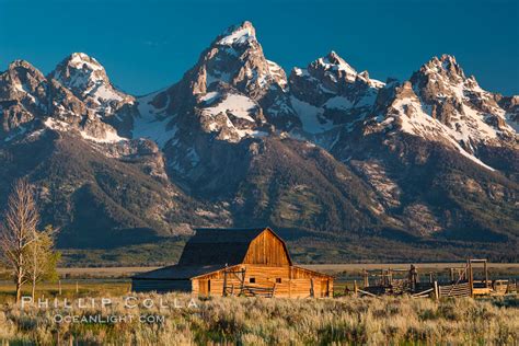 John Moulton Barn Grand Teton National Park Natural History