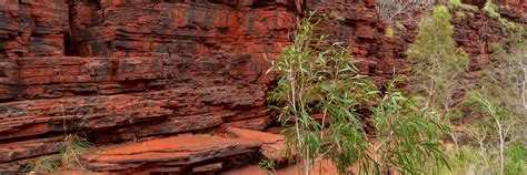 Karijini National Park Gorge Western Australia Stock Image - Image of ...