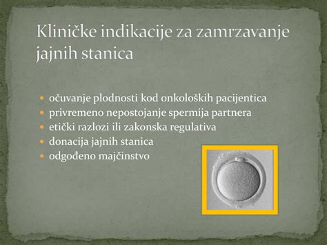 PPT Vitrifikacija Jajnih Stanica PowerPoint Presentation Free