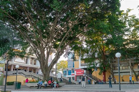 Instituto Tecnol Gico De Santo Domingo Intec Dedica Una Semana Para