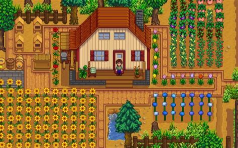 Stardew Valley Farm Names Creative Funny And Unique Ideas Tuko Co Ke