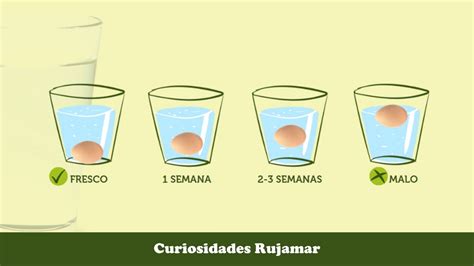 Cómo saber si un huevo es fresco Grupo Avícola Rujamar