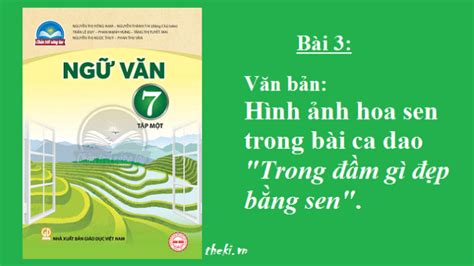 Hình ảnh hoa sen trong bài ca dao Trong đầm gì đẹp bằng sen Bài 3