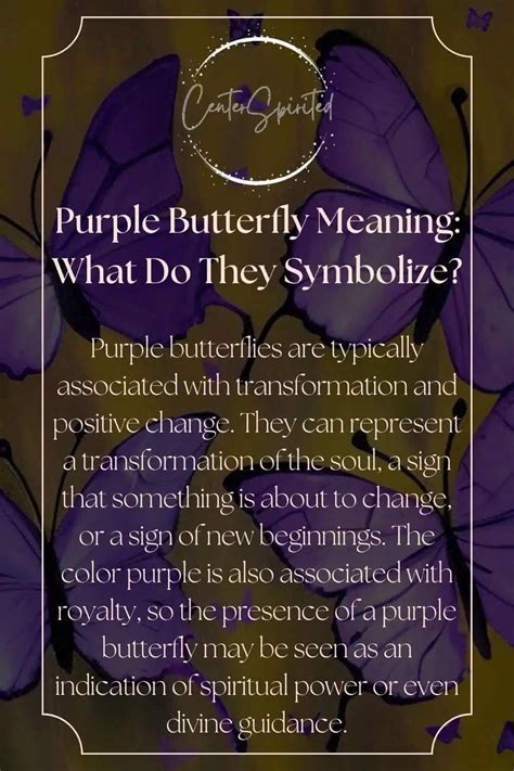 Purple Butterfly Meaning: What Do They Symbolize?