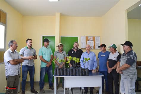 Exclusivo Agricultores De Serra Branca S O Contemplados Mudas De