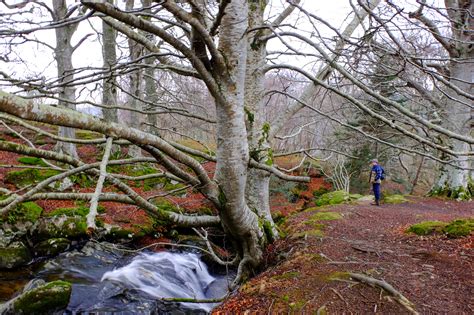 Waterfalls in Scotland - my favourite walks to waterfalls in Scotland.