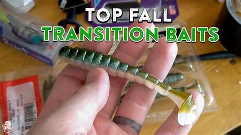 Best Bass Fishing Lures For The Fall Transition Period - Angler HQ