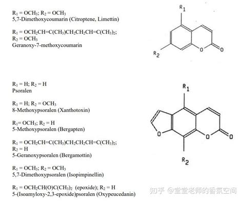 压榨法：由柑橘属果实中萃取精油 知乎