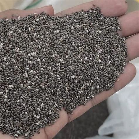 Chia Seeds Pack Packaging Size 25 Kg At Rs 170 Kg In Navi Mumbai