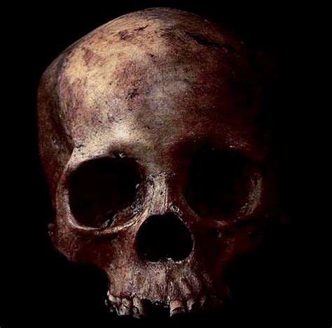 Pin By Derald Hallem On Skull Art Skull Art Real Skull Skull