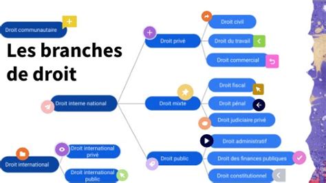 Les Branches De Droit