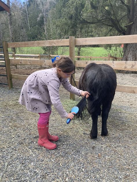 Stable Connections – Heartfelt Farm & Therapy