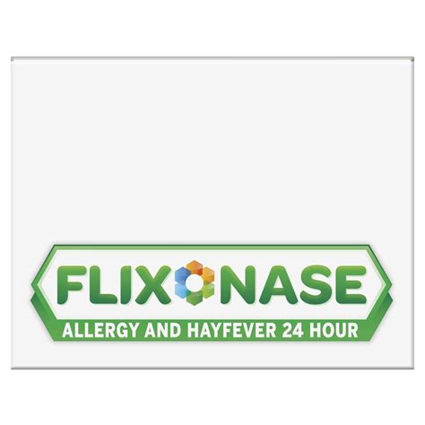 Buy Flixonase Allergy 24 Hour Nasal Spray 120 Doses Online at Chemist Warehouse®