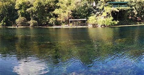 Across The Water At Spring Lake San Marcos Tx Imgur