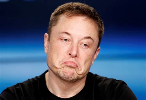 Elon Musk stole my meme, Los Angeles-based writer says | Daily Sabah