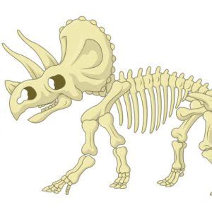 Dzie Dinozaura Karty Pracy Dekoracje Napisy Wierszyki Dla Dzieci