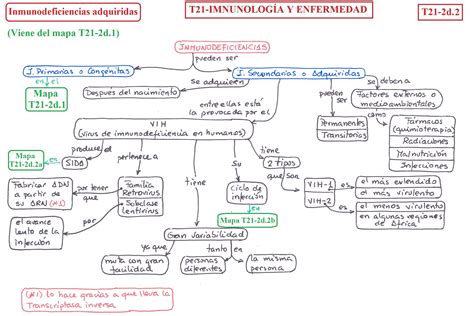 Sistema Complemento Mapa Mental LIBRAIN