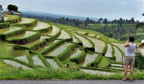 UNESCO Minta Indonesia Pertahankan Subak Jadi Pemanfaatan Air Berbasis