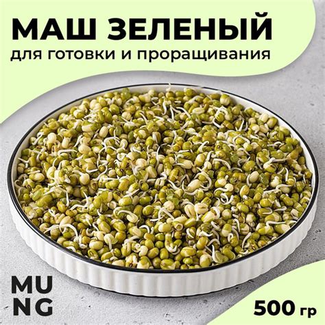 Маш зеленый целый для готовки и проращивания, бобы Мунг (Moong), 500 гр ...