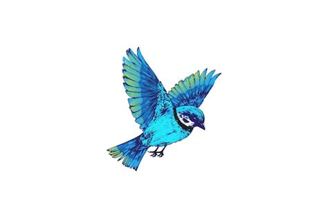 Premium Vector Wrens With Blue And Green Gradients