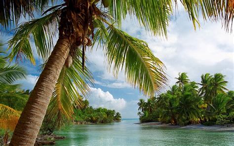 Sfondi X Px Spiaggia Nuvole Isola Paesaggio Natura Palme