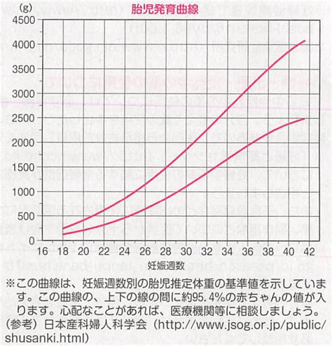 03】妊娠中期： ₁₆₎胎児の体重増加曲線 胎児の発育曲線） 【飯能産婦人科】 医学情報