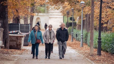 Importe De Las Pensiones ¿cuánto Aumentan En 2024