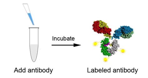 Ilink Antibody Labeling Kits Abp Biosciences