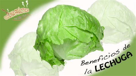 Beneficios De La Lechuga Youtube