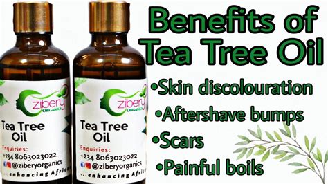 Tea Tree Oil For Skin Boils Scars Shaving Discoloration Etc Youtube