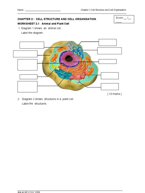 Anatomy Of A Cell Worksheets