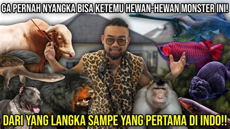 Gak Nyangka Bisa Ketemu Hewan Hewan Monster Ini Dari Yang Langka