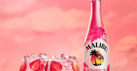 Malibu Drink Logo 8 Things You Should Know About Malibu Coconut Rum