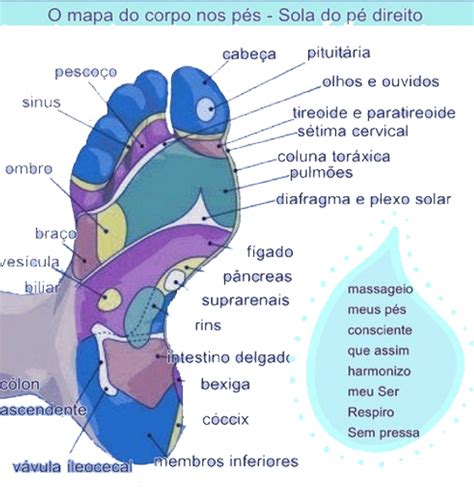 Mapa De Reflexologia Dos P S Reflexologia Podal Ubicaciondepersonas