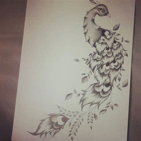 Peacock Pencil Drawing at GetDrawings | Free download