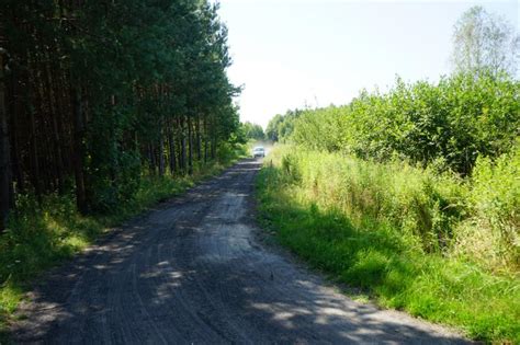 Modernizacja drogi dojazdowej do gruntów rolnych w Błoniu