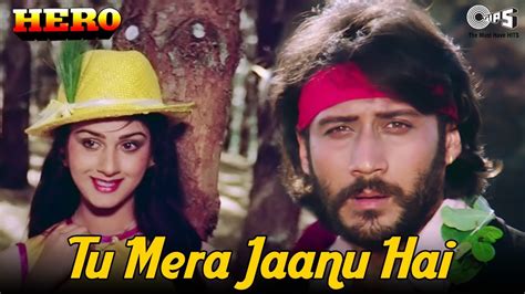 Tu Mera Jaanu Hai Hero Anuradha Paudwal Manhar Jackie Meenakshi