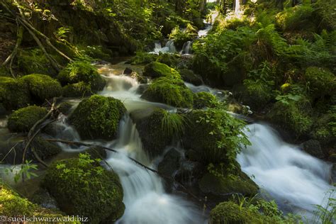 Wander Dich glücklich Südlicher Schwarzwald Wanderführer