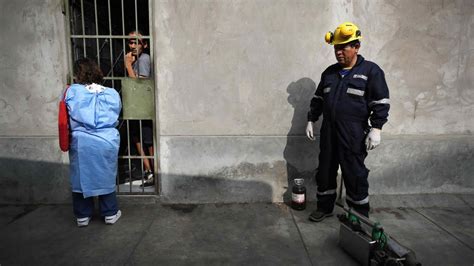 Un gran brote de dengue en Perú deja 31 menores muertos Diario Córdoba