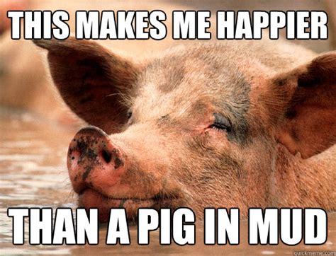 This Makes Me Happier Than A Pig In Mud Stoner Pig Quickmeme