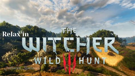 Relaxing Wind Nature Ambience In The Witcher Wild Hunt Video Game