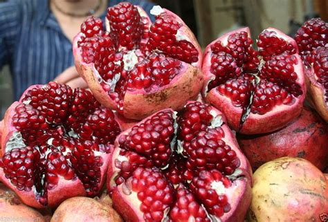 Buy World Largestgiant Pomegranate Punica Granatumambrosia 20 Imported