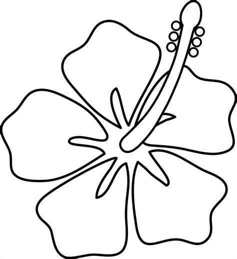 hawaii flowers simple 8