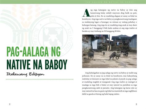 Pag Aalaga Ng Native Na Baboy Pdf