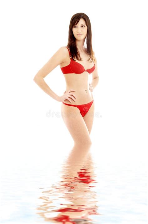 Bikini Brunettefrau stockfoto Bild von brünette schwimmen 56614814