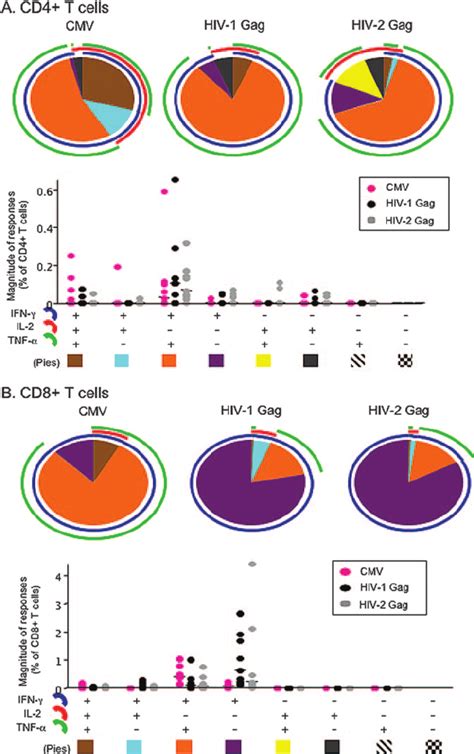 Cytokine Profile Of Cd A And Cd B T Cell Responses