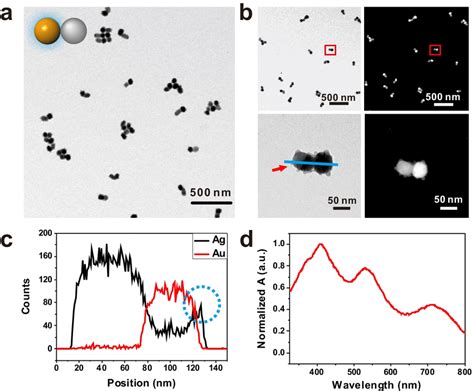 A Scheme And TEM Images Of AuAg Dimer NPs The NPs Were Synthesized