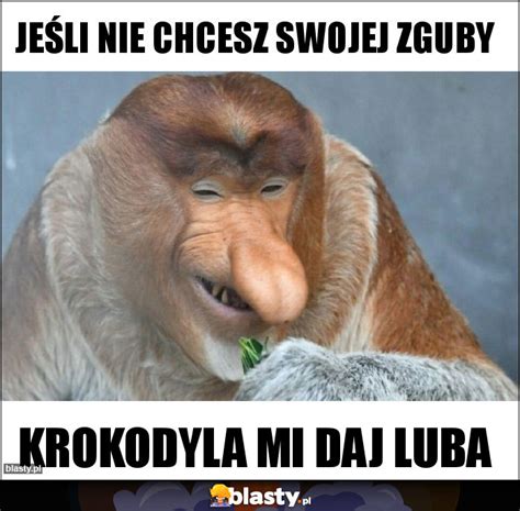 JEŚLI NIE CHCESZ SWOJEJ ZGUBY memy gify i śmieszne obrazki facebook